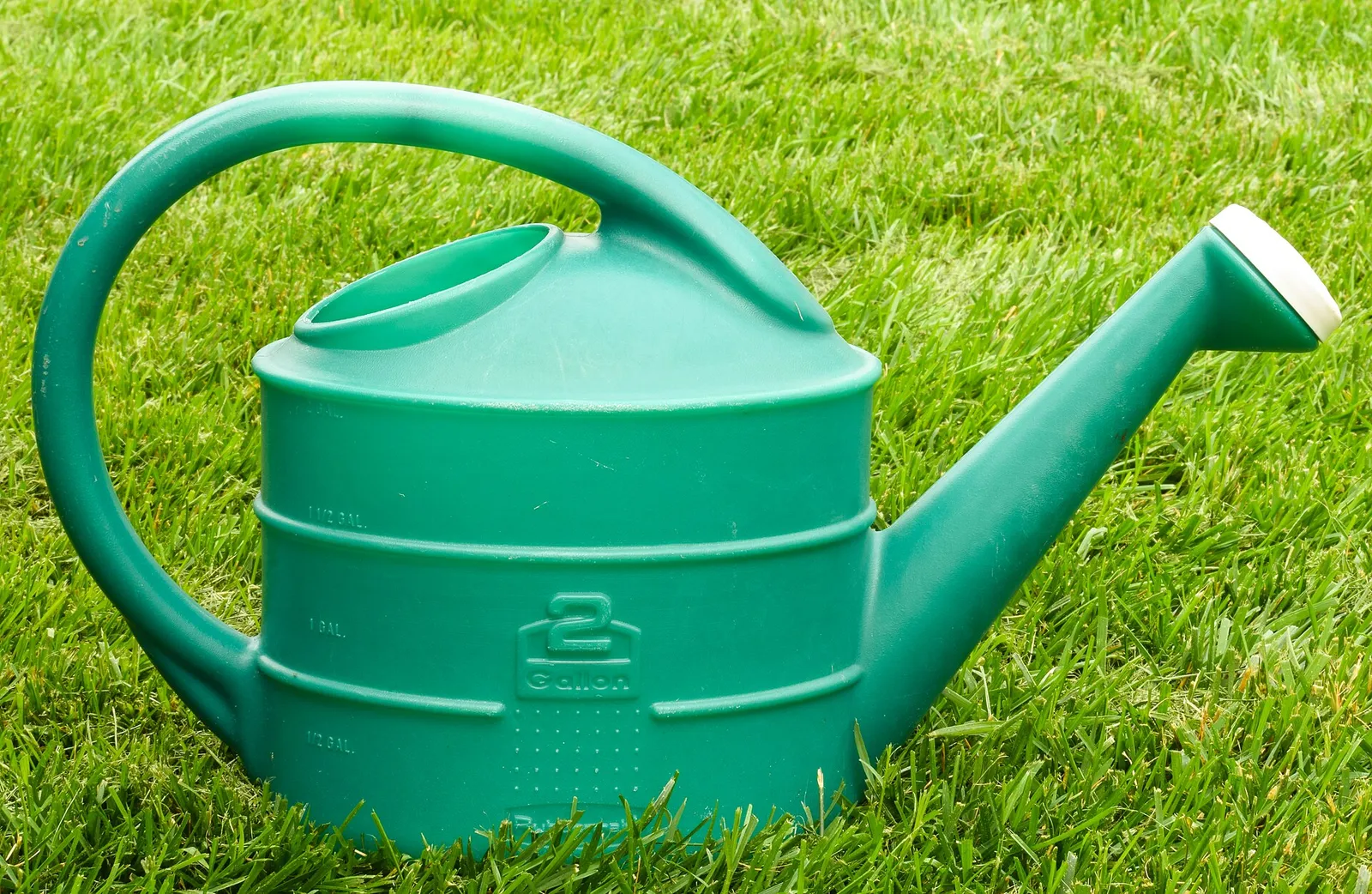 Garden water jug.