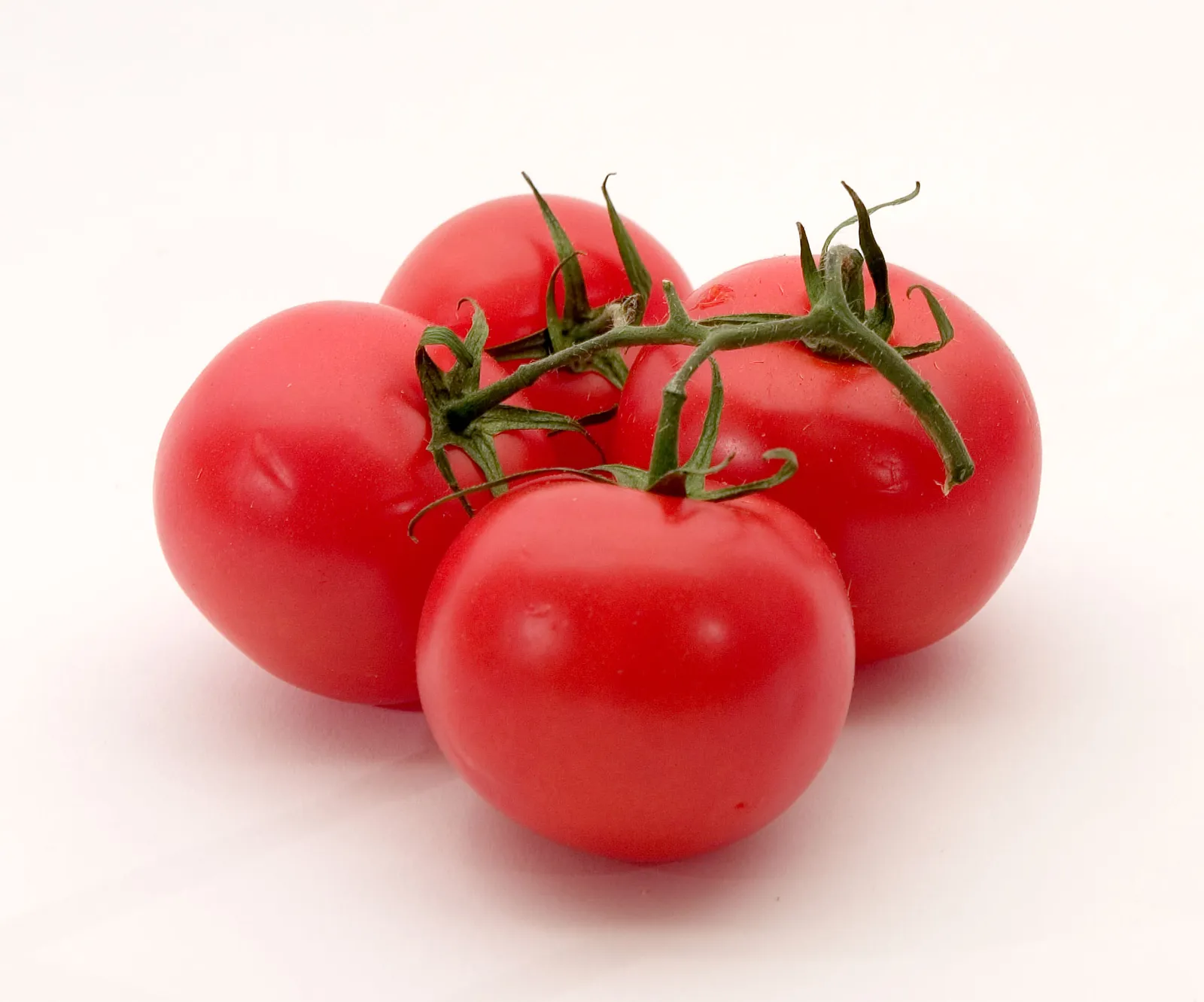 Best Of Cheese Foods! Tomato Burger Tomato Pizza Tomato Lasagna