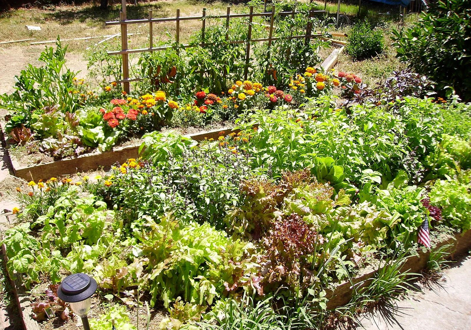 Raised garden bed soil